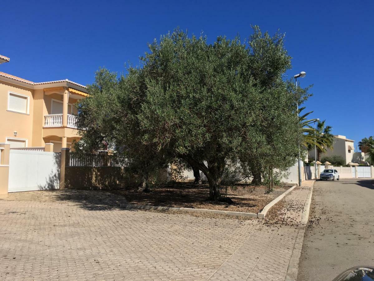 Frente Al Mar - Velazquez Villa Oliva Exterior photo
